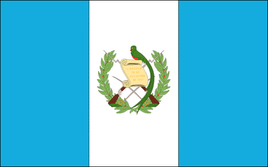 Bandera Mexicana. 1er. lugar: Bandera 